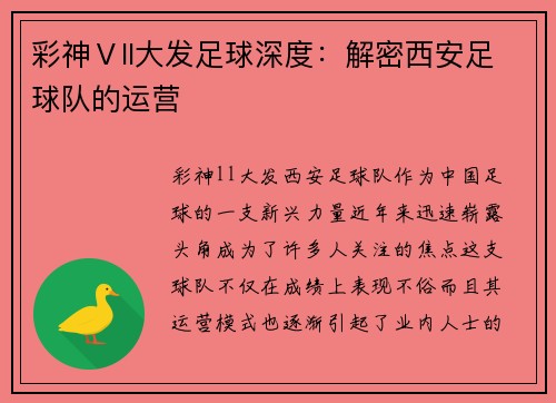 彩神Ⅴll大发足球深度：解密西安足球队的运营
